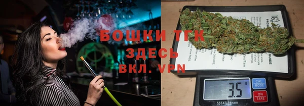 ГАЛЛЮЦИНОГЕННЫЕ ГРИБЫ Заводоуковск