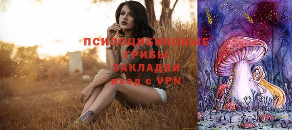 ГАЛЛЮЦИНОГЕННЫЕ ГРИБЫ Заводоуковск