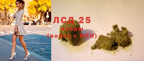 ГАЛЛЮЦИНОГЕННЫЕ ГРИБЫ Заводоуковск