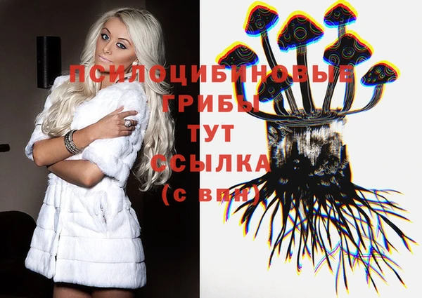 ГАЛЛЮЦИНОГЕННЫЕ ГРИБЫ Заводоуковск