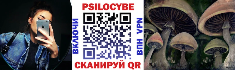 Купить где  Карпинск  Псилоцибиновые грибы мицелий 